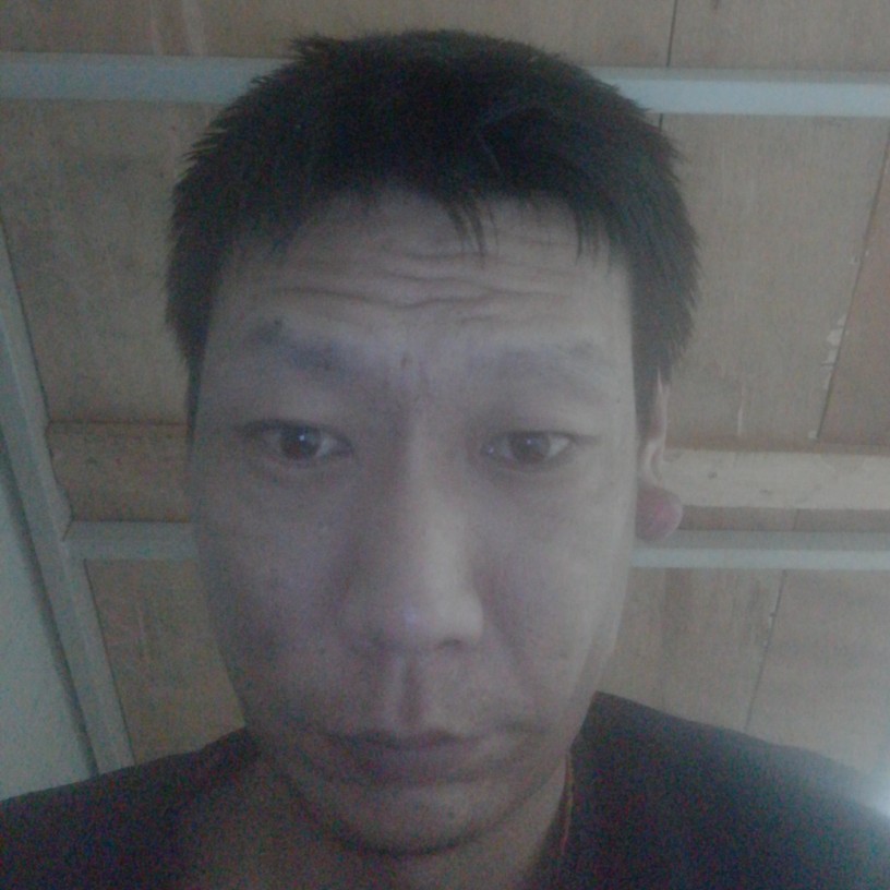老实钢笔李伟的照片