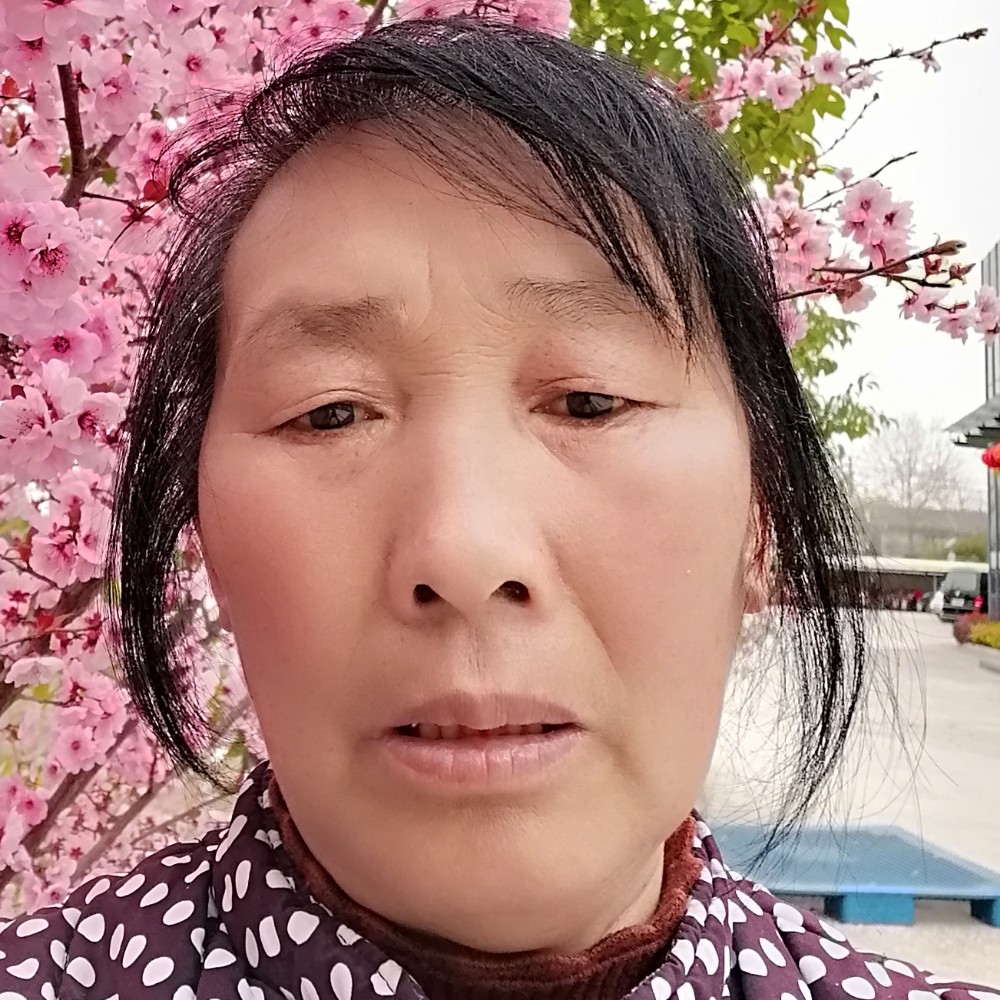 柠檬爱机灵的照片