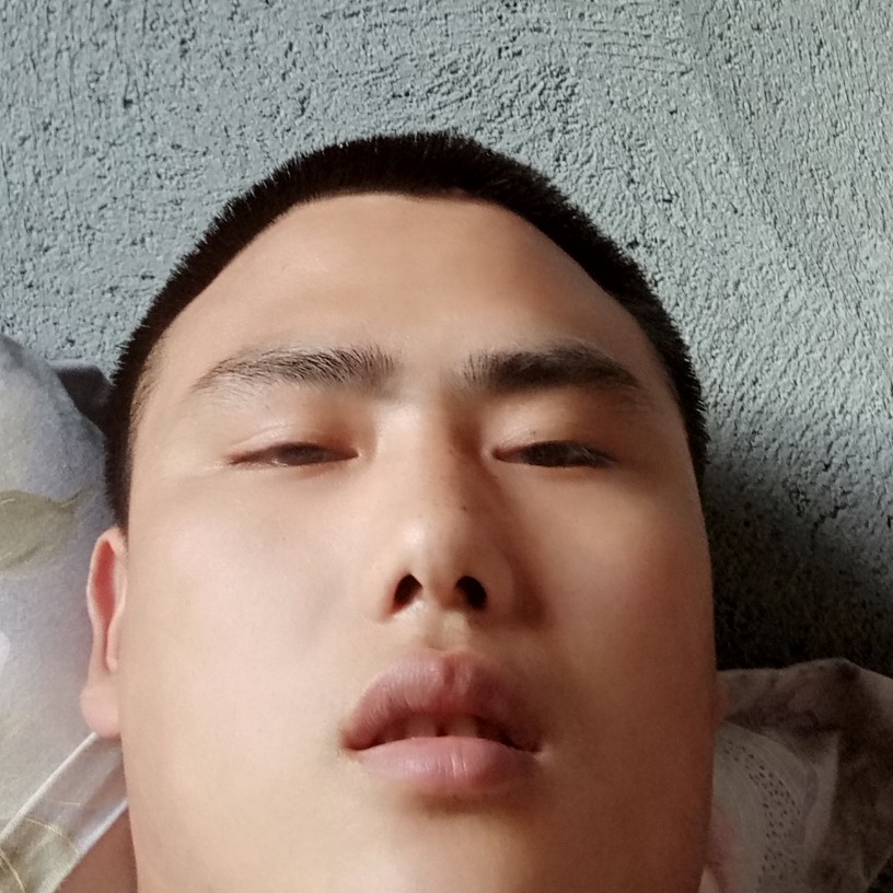 豆芽柔弱的照片