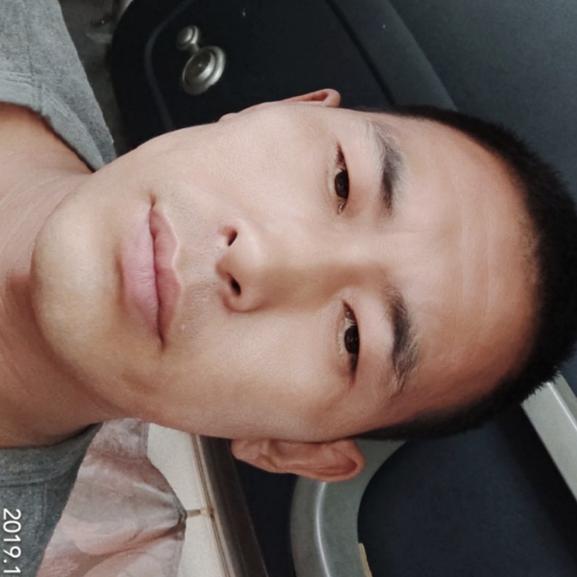 四处奔的照片