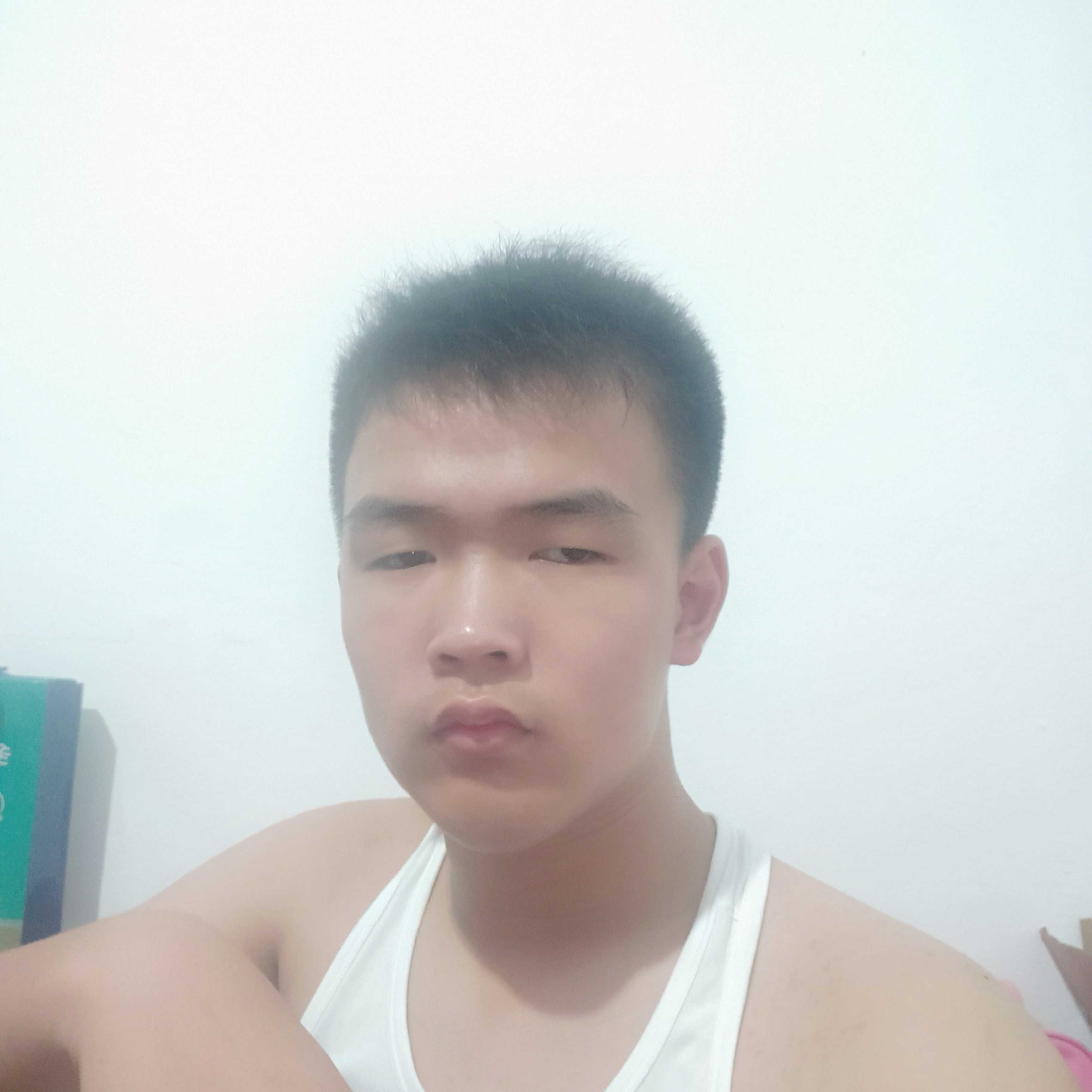 淡淡说狗的照片
