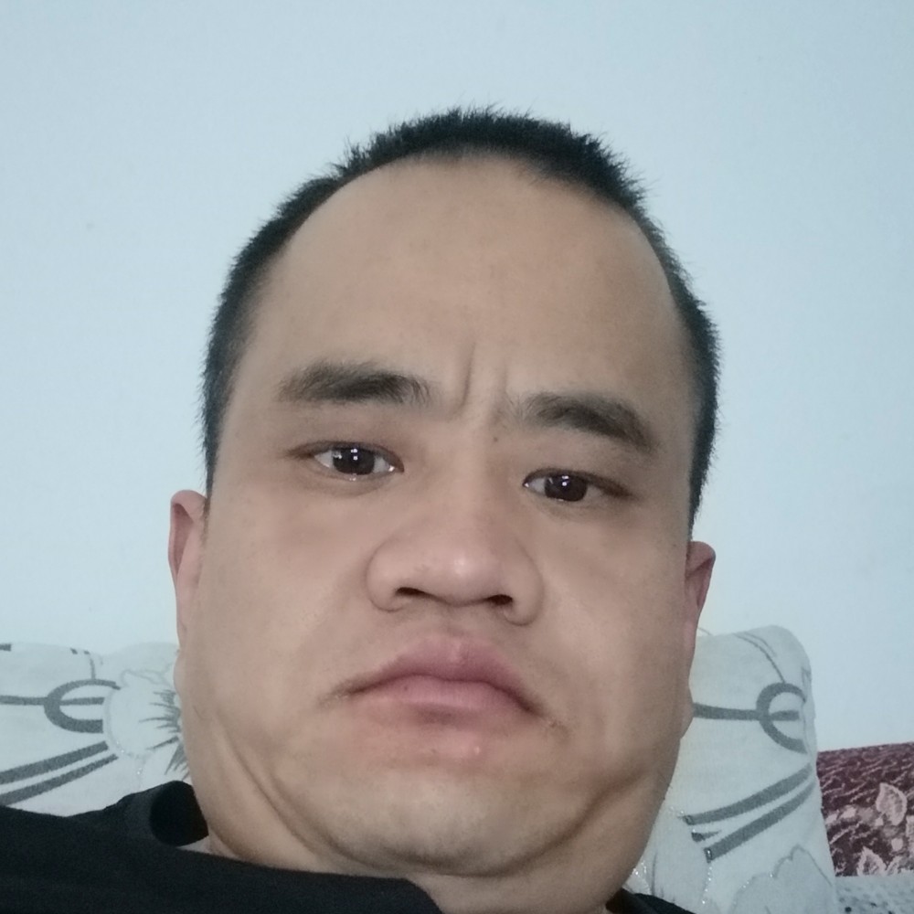 白猫不安的照片