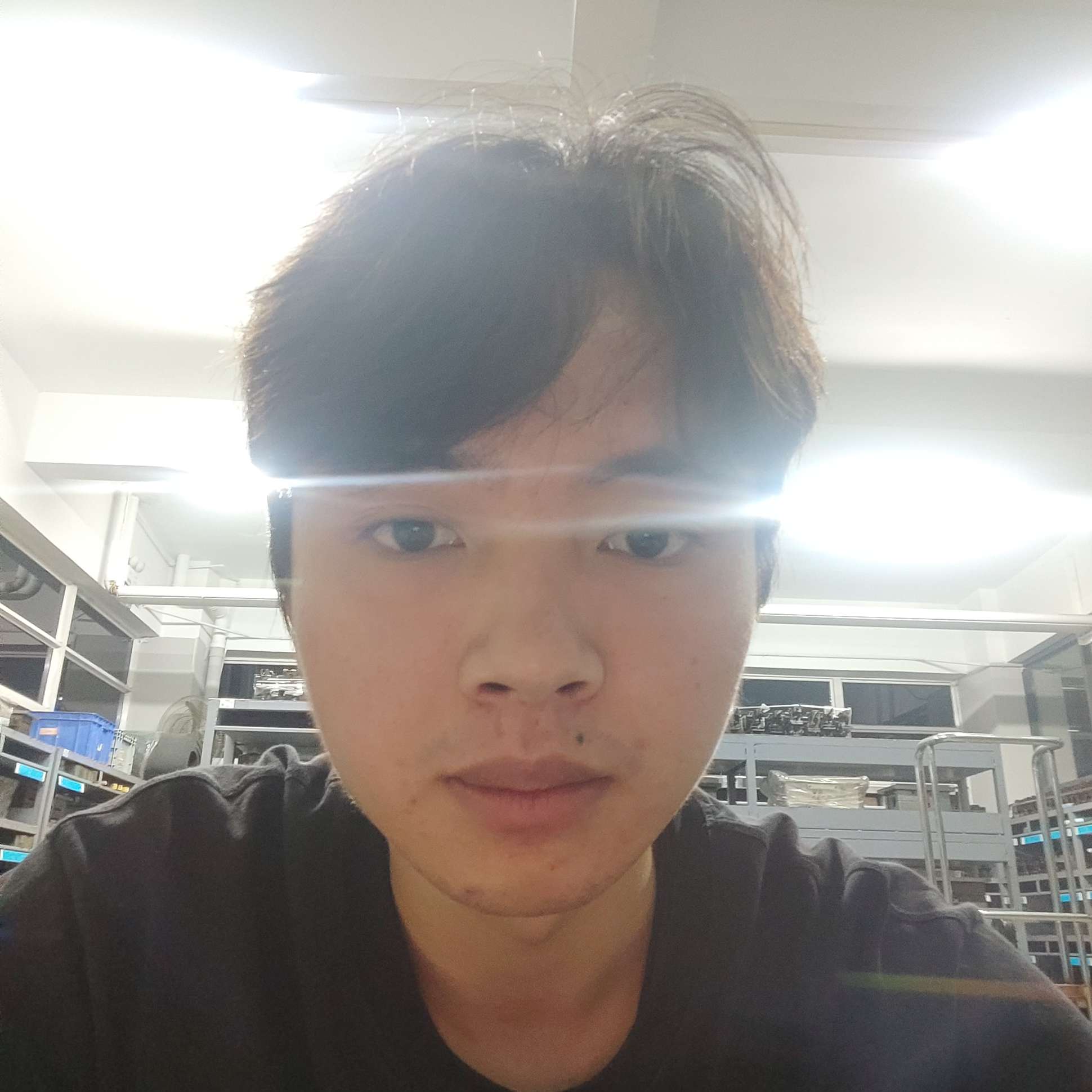 紫夜的照片