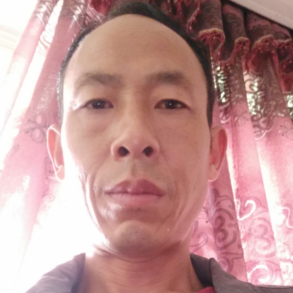 龙猫打想人陪的照片