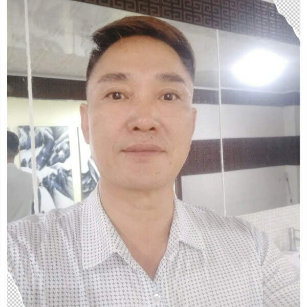 荒漠雄狮的照片