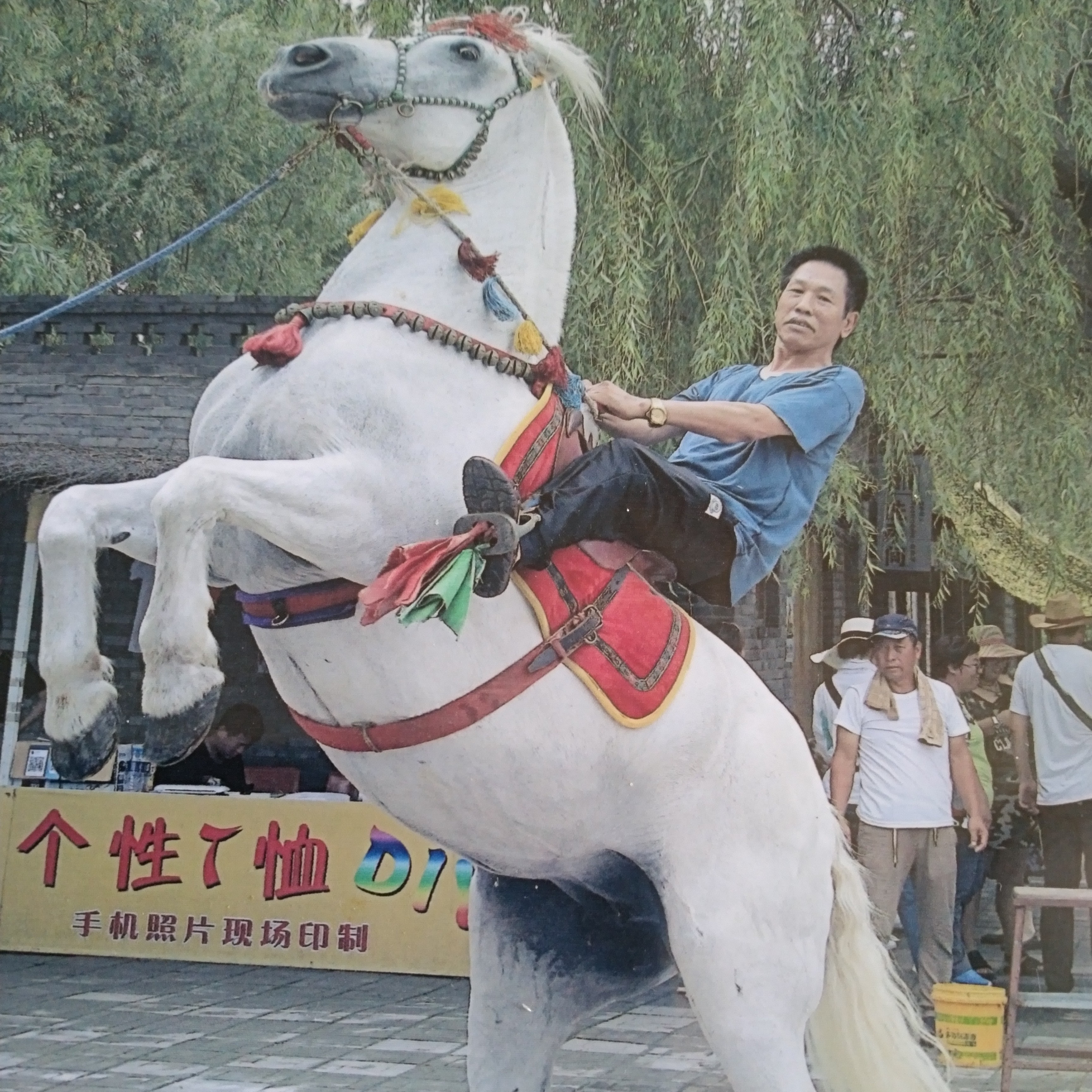 清爽吃醋流沙的照片