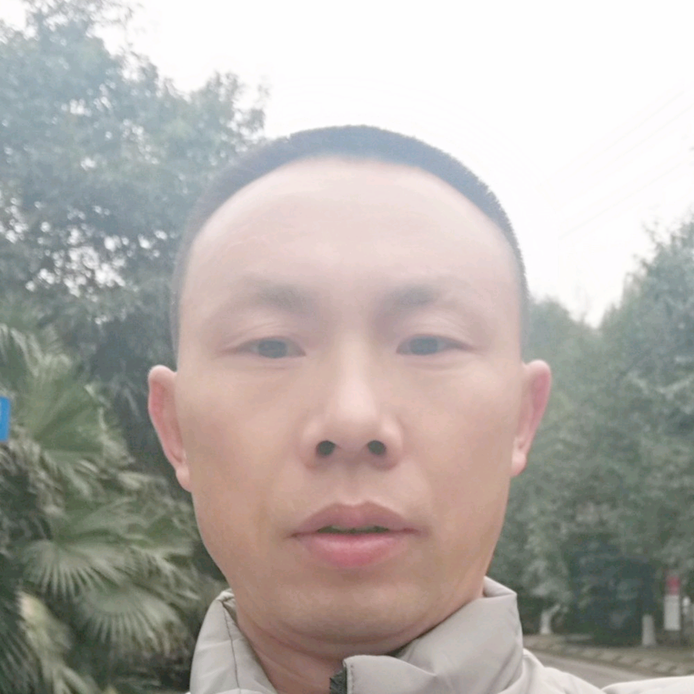 莎糖桔的照片