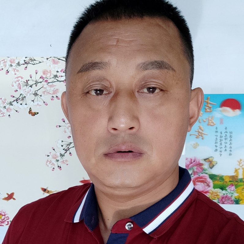 精明向吐司的照片
