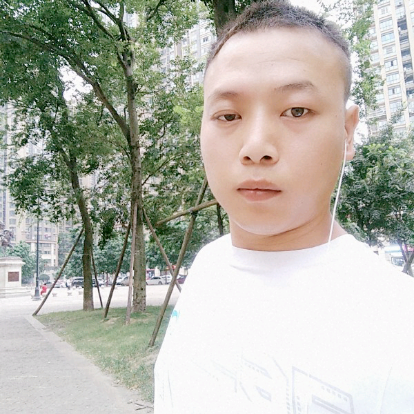 太阳的愉快的照片