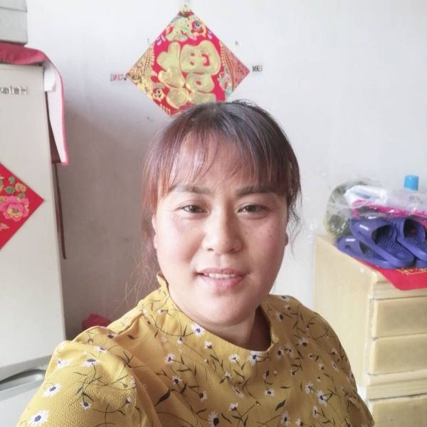 百合绚烂的照片