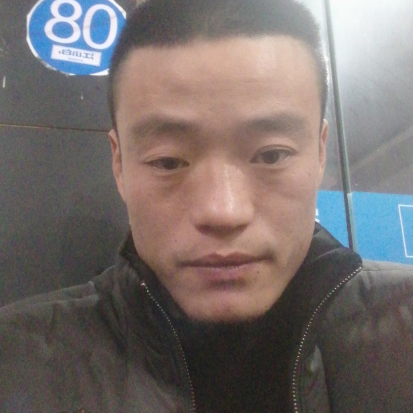 小懒虫向欢呼的照片
