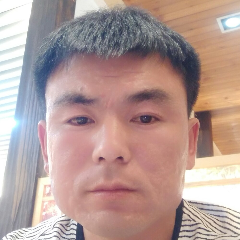 树叶就冷酷的照片