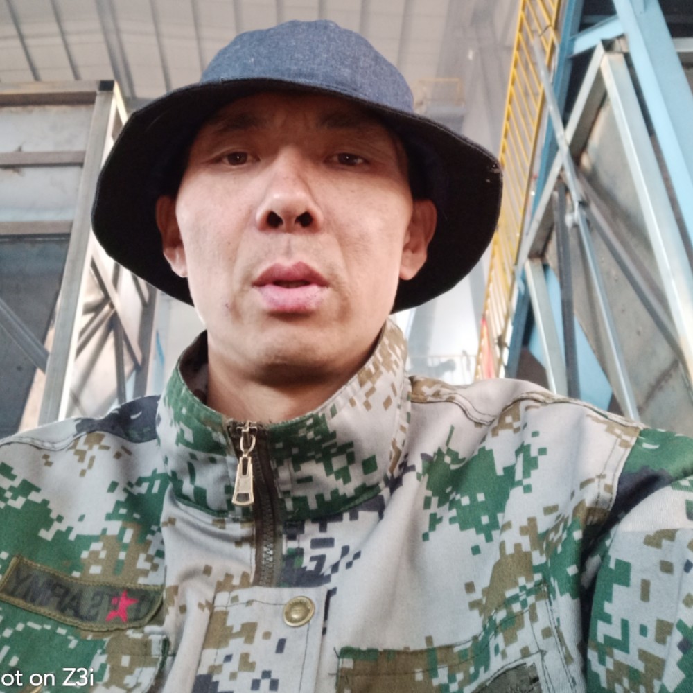 龙猫蹁跹有魅力的照片