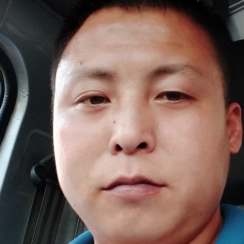 小海豚大气的照片