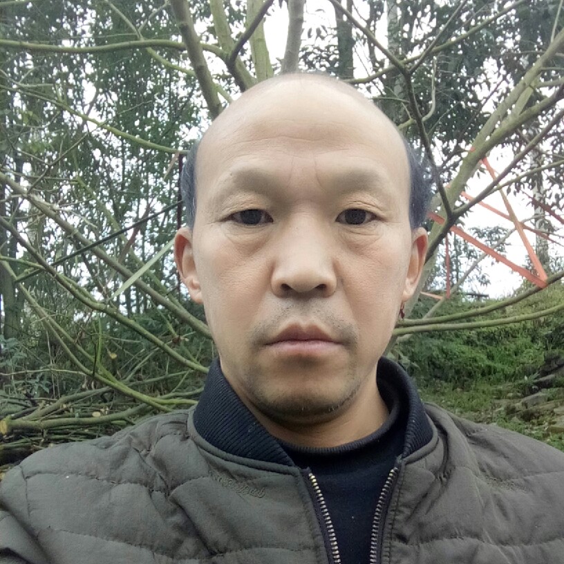 紧张月亮的照片
