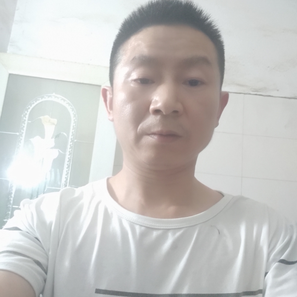 坚强的龙的照片