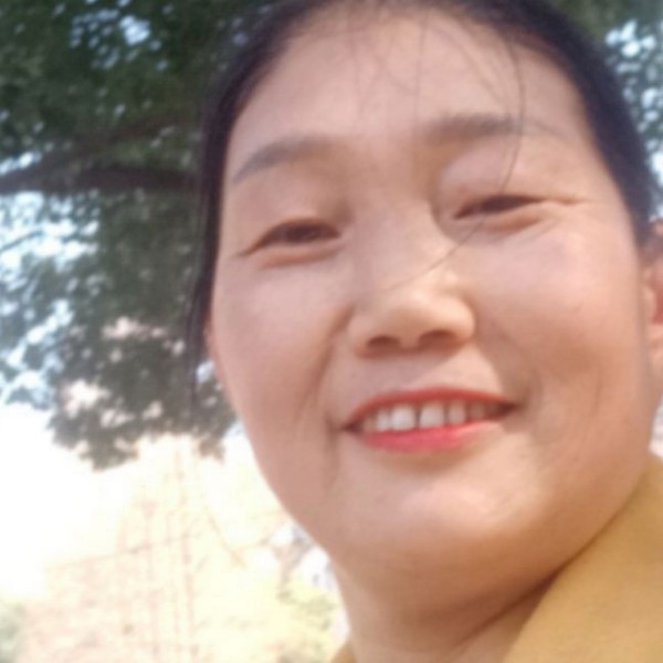 大树与光亮的照片