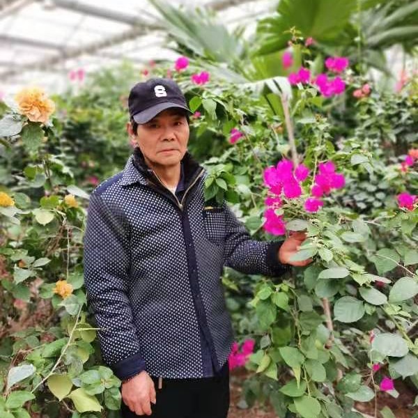 会员654251637的照片