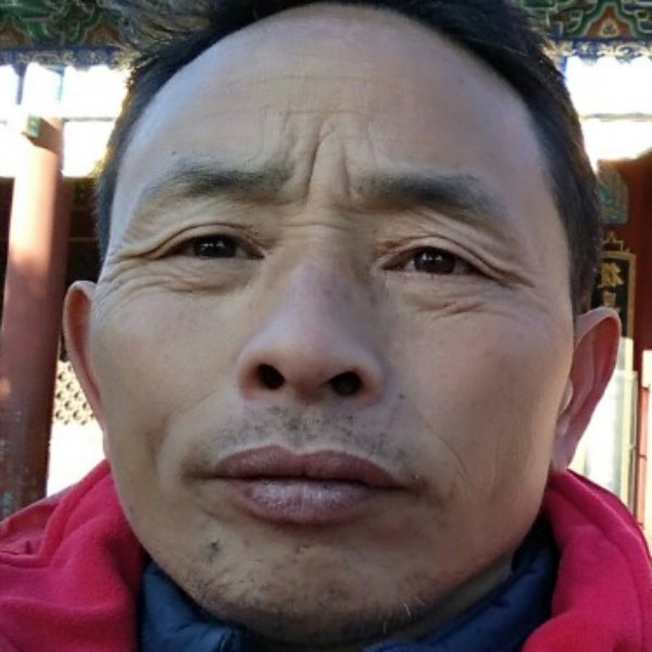 巴西红松子的照片