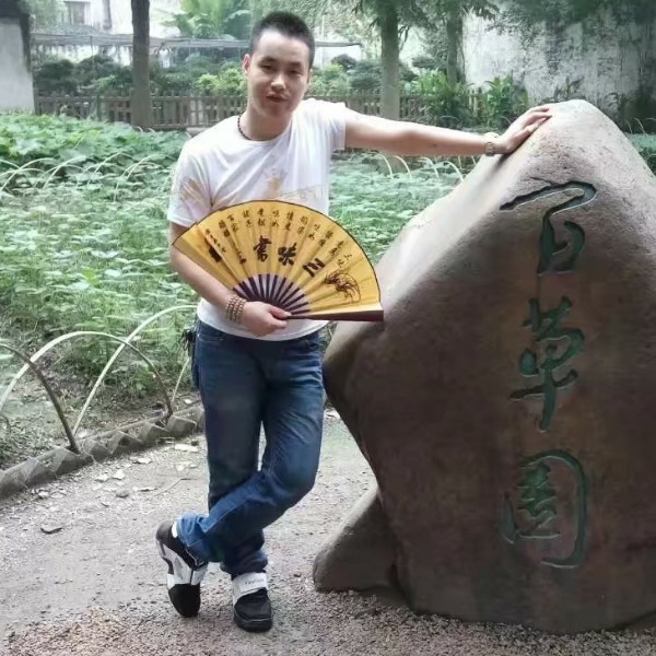 玫瑰高贵的照片