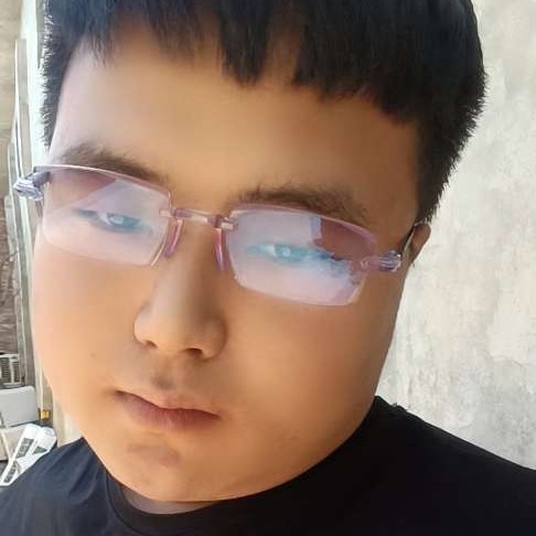 一个人放弃向日葵的照片
