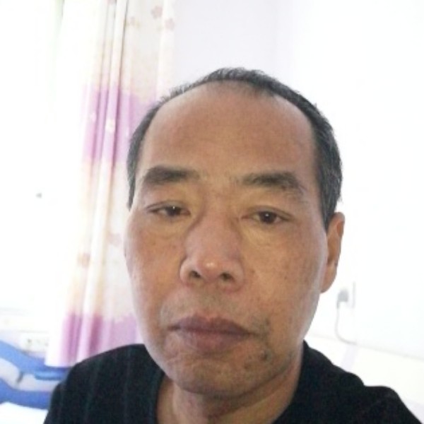 努力的马的照片