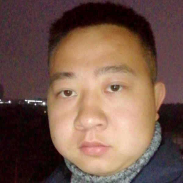 猫咪感性的照片