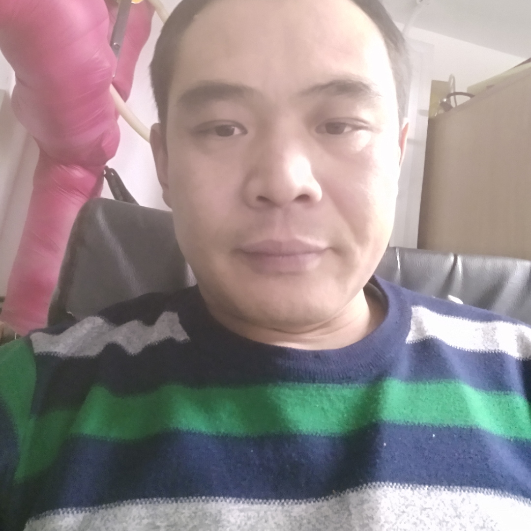 辉辉灰灰慧慧的照片
