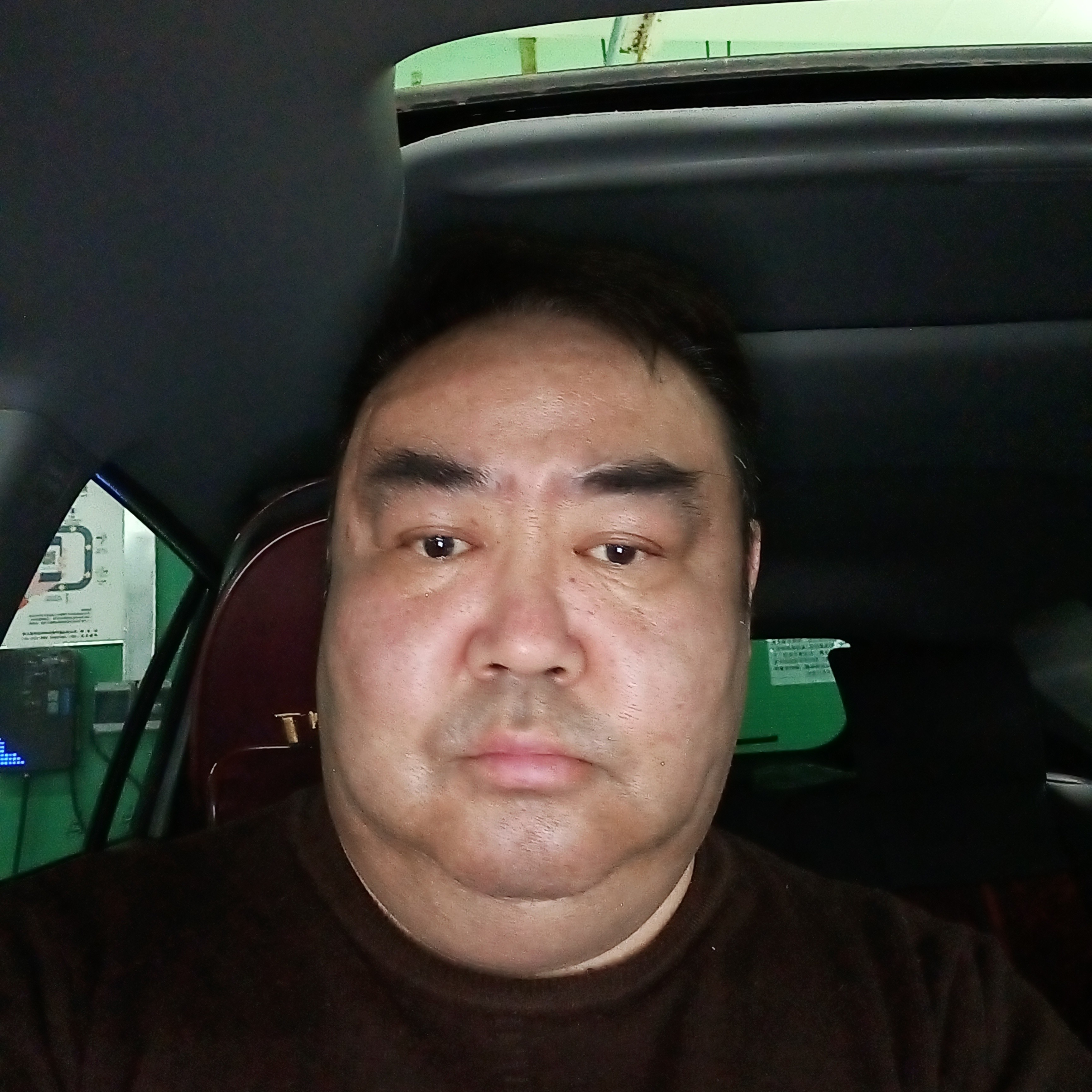 孤狼孤芳自赏的照片