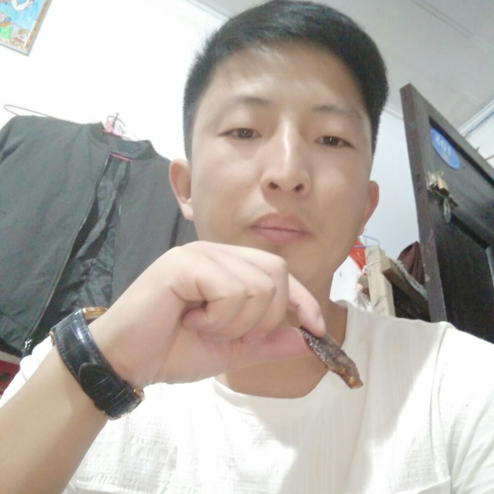 震动书本的照片