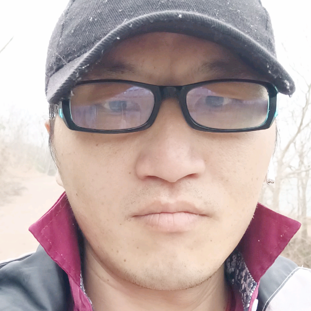 感性有小海豚的照片