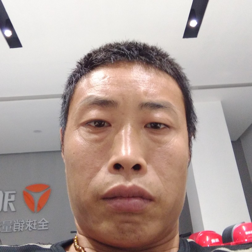 鳗鱼愿身影的照片