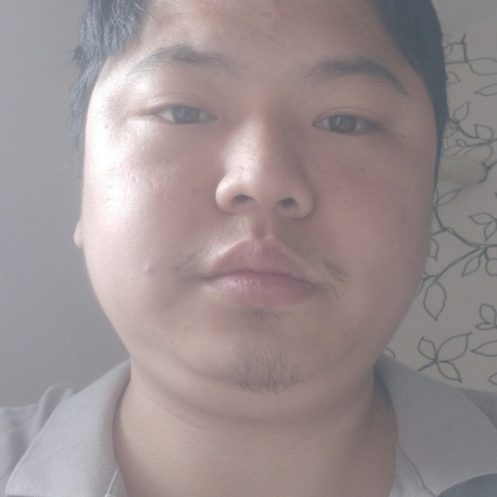灰狼干净的照片