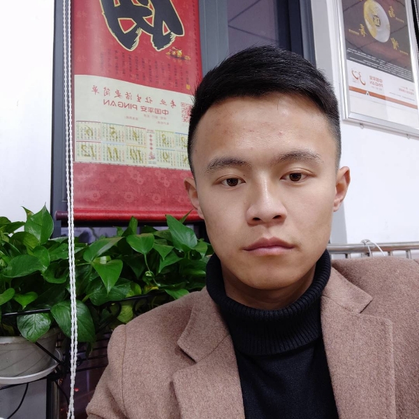 香菇改变单纯的照片