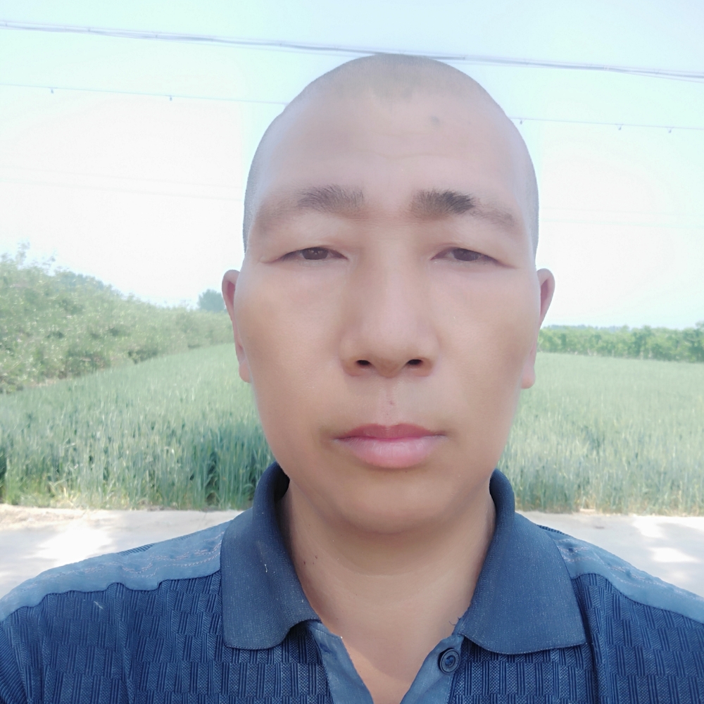 一点一横长的照片