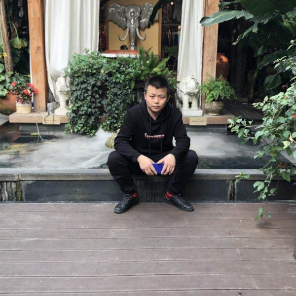 高挑白羊的照片
