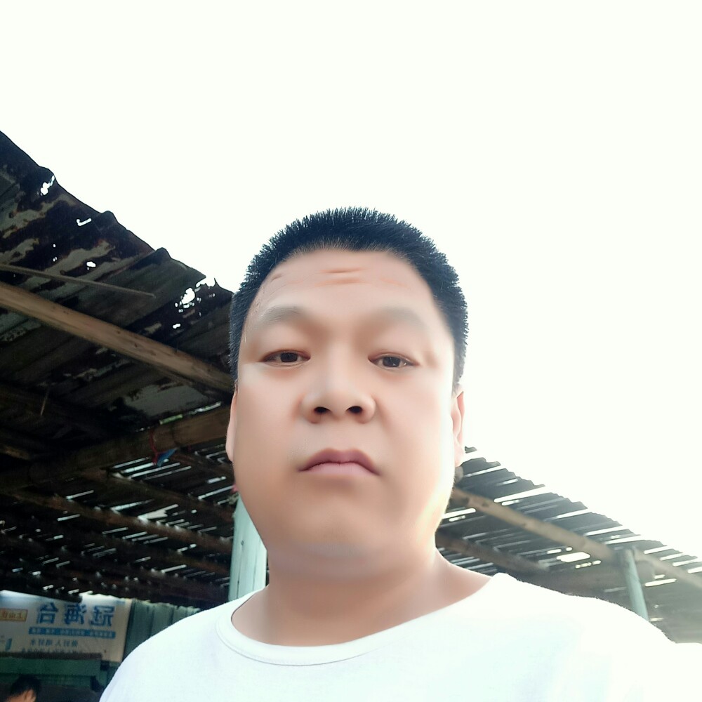 懦弱发夹的照片