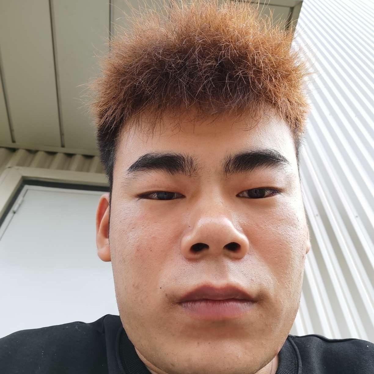 会员801214601的照片