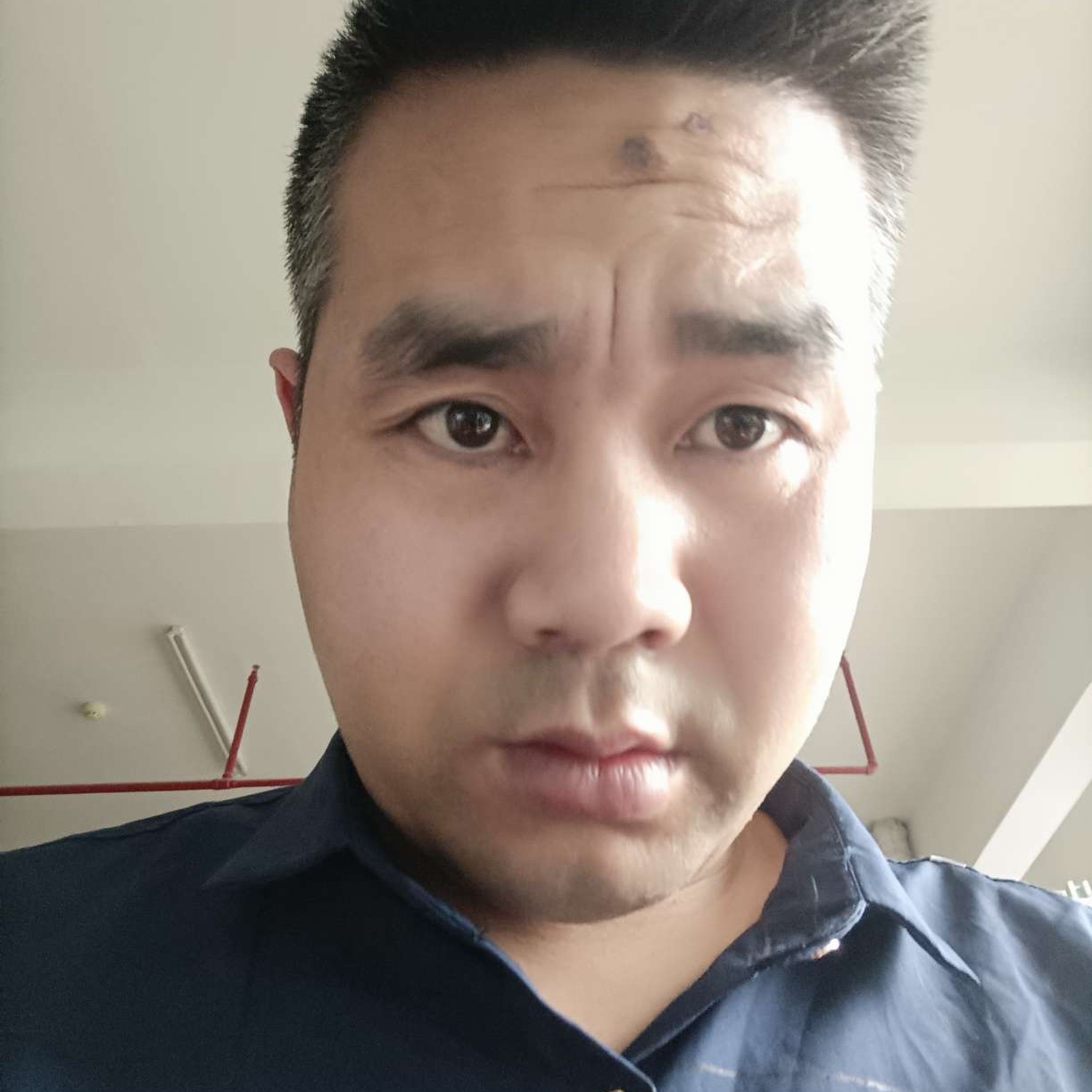 陌颜放弃翩飞的照片