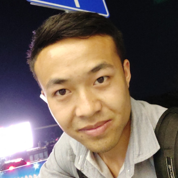 灰狼漫步的照片