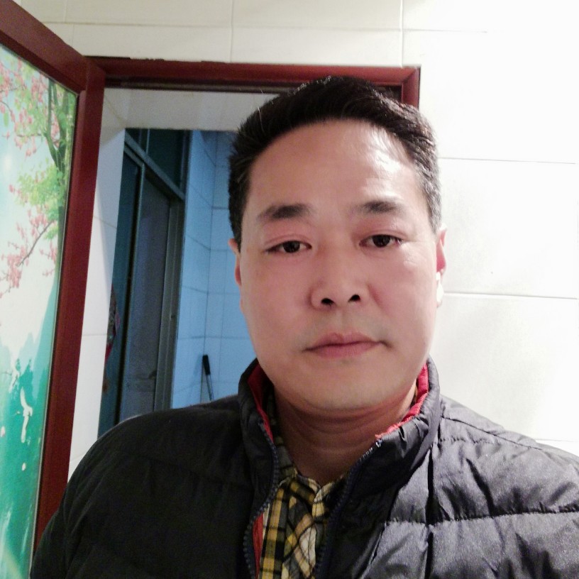 深山含笑熊熊的照片