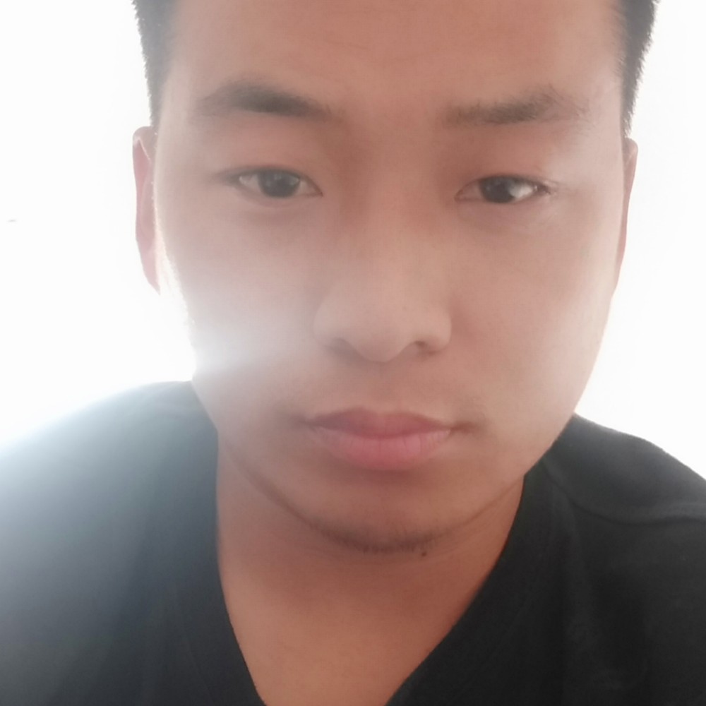 黑裤精明的照片