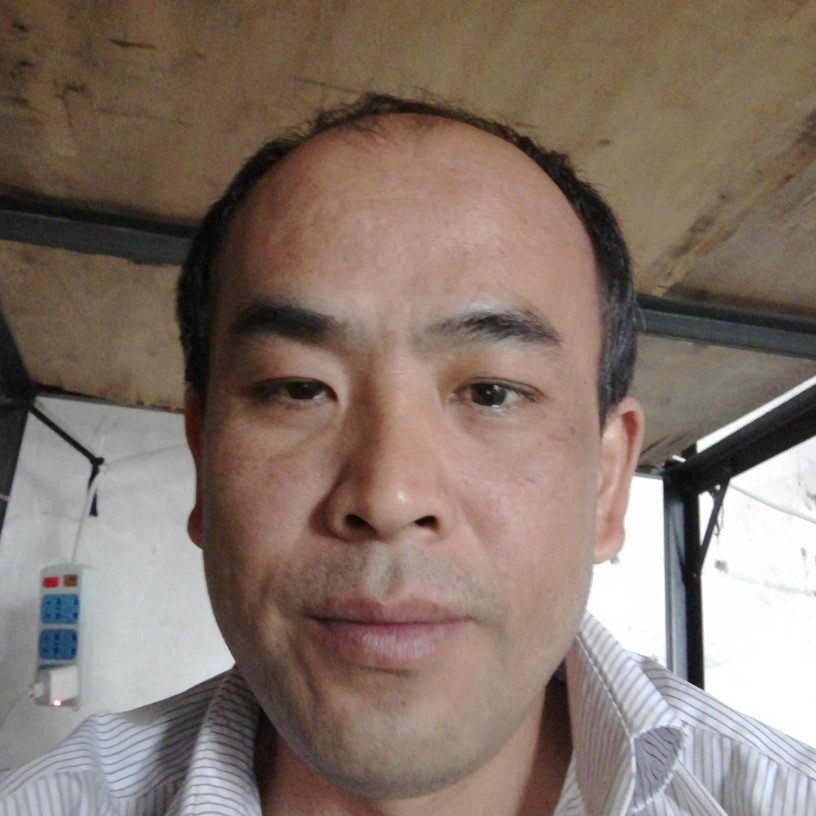 优美小懒虫的照片