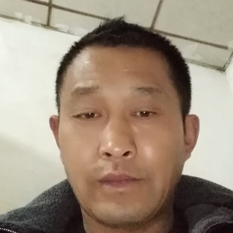 风中闻金毛的照片