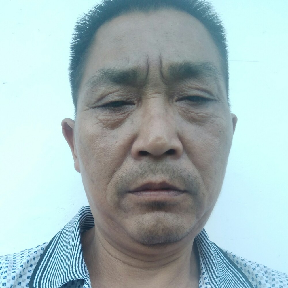 展趐的雄鹰的照片