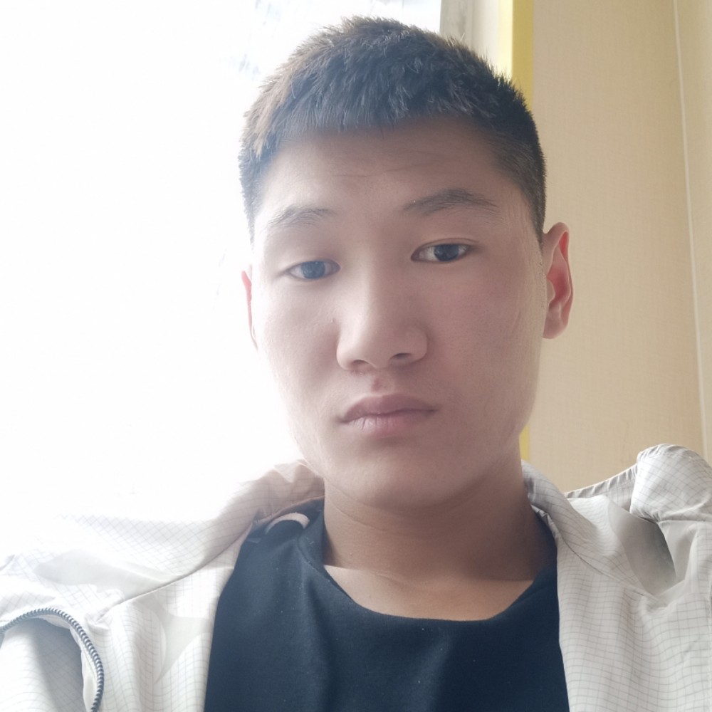 迷茫的麋鹿的照片