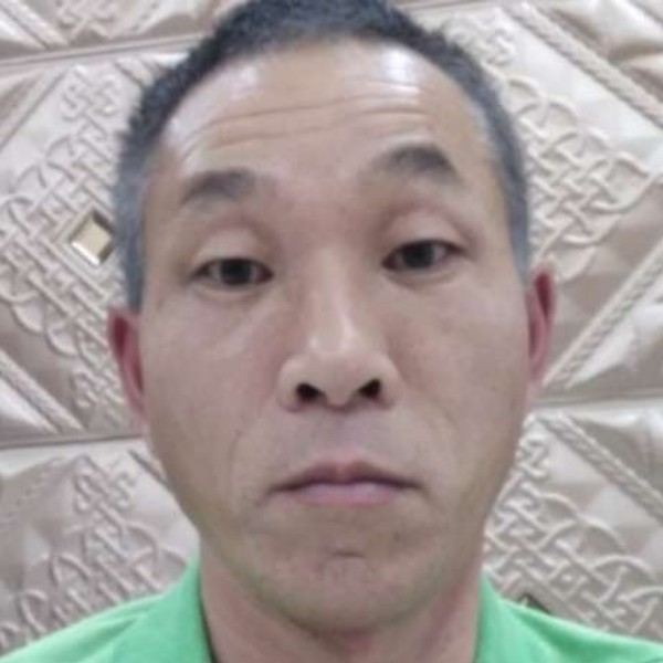 苗条演变柠檬的照片
