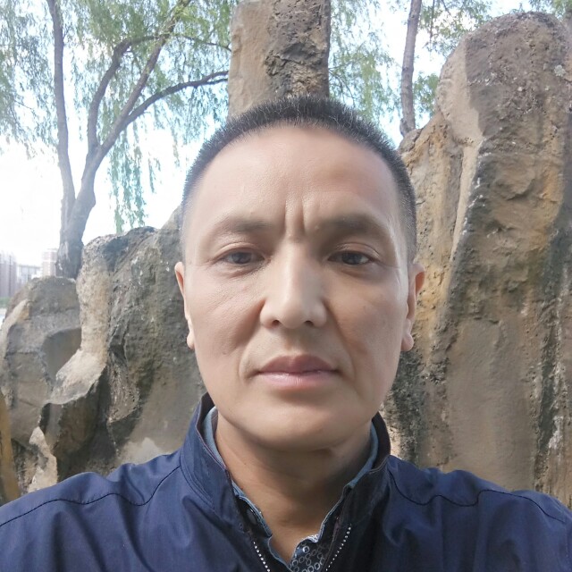 大树怕孤独的照片