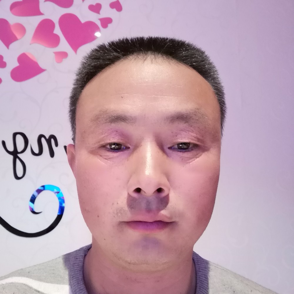 果园的照片