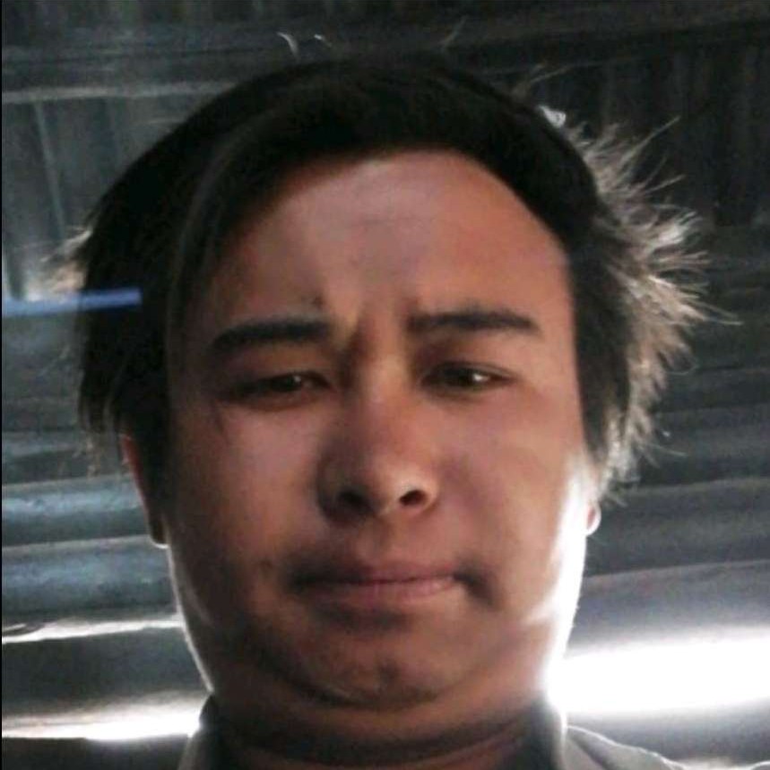 外向邂逅枫叶的照片